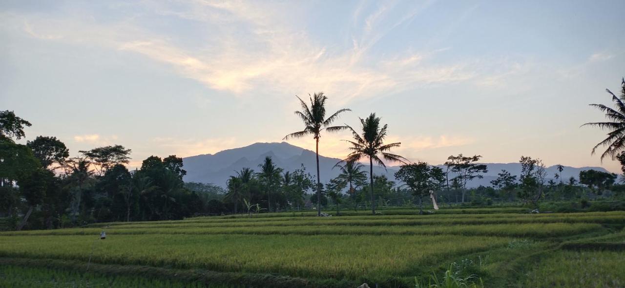 Baratha Hotel & Resto Bondowoso 外观 照片